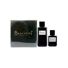 BRECOURT ESPRIT MONDAIN 100 ML EDP - MAUVAIS GARCON 50-برکورت اسپریت ماندریان مردانه 100 میل ادو پرفویم