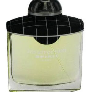 INSURRECTION SPIRIT PARIS REYANE 100 ML EDT MEN-رایان اینسورکشن اسپریت 100 میل ادوتویلت مردانه